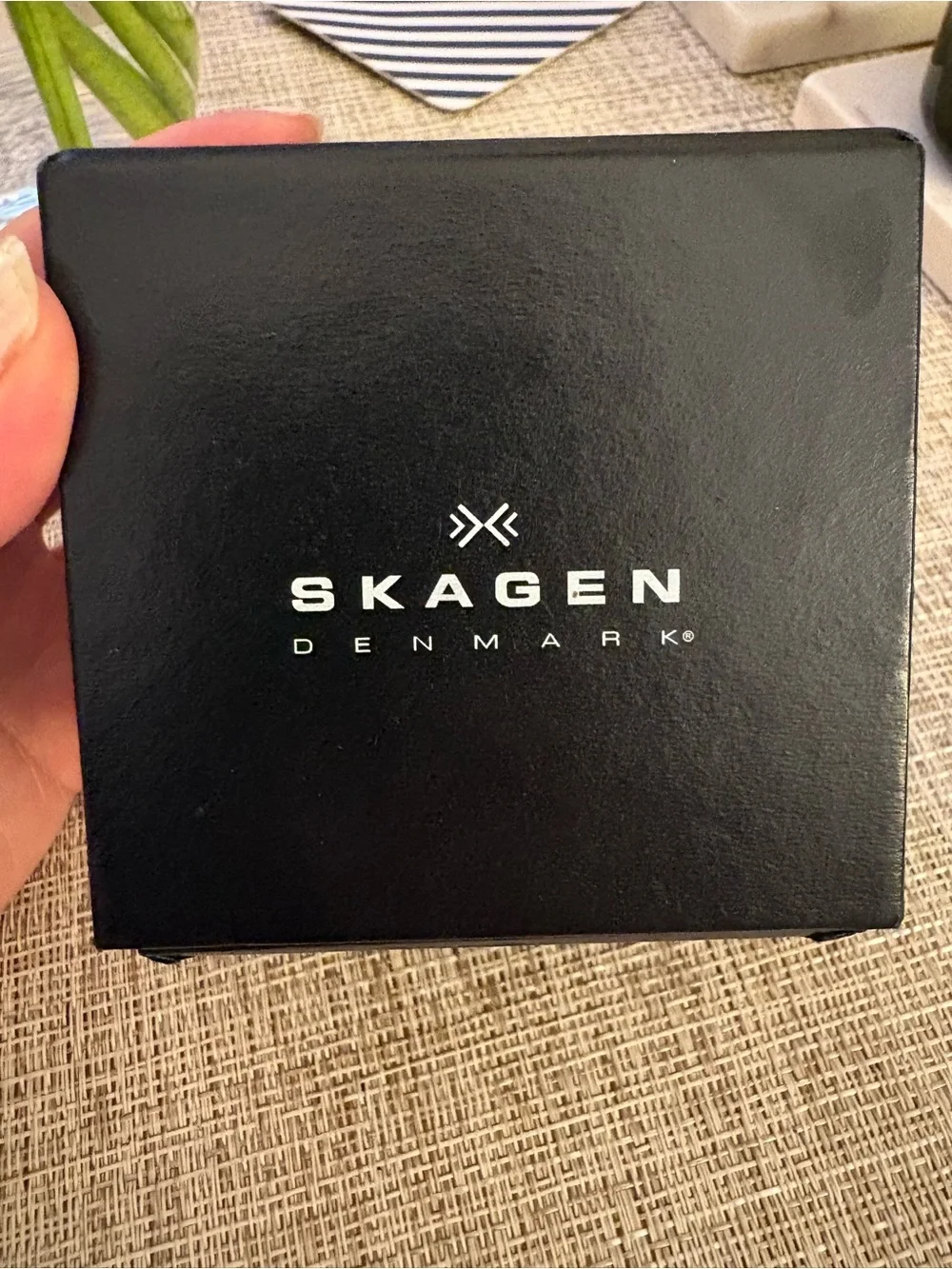 Skagen Woman’s Rose Gold Watch